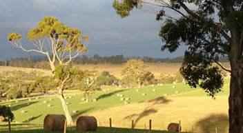 Flaxley Hills pic