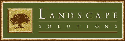 Landscape Solutions SA website